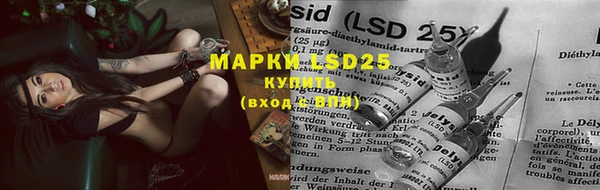 марки lsd Алзамай