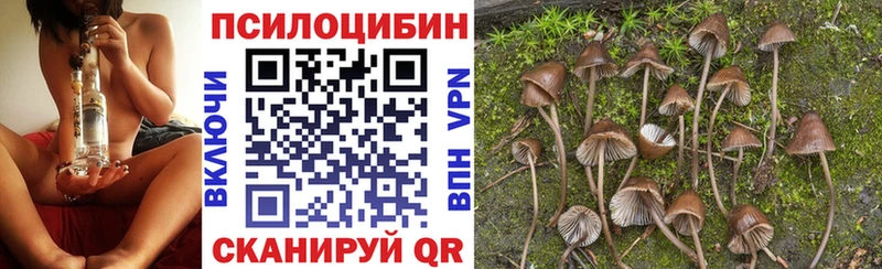 Псилоцибиновые грибы мицелий  цены   Макушино 